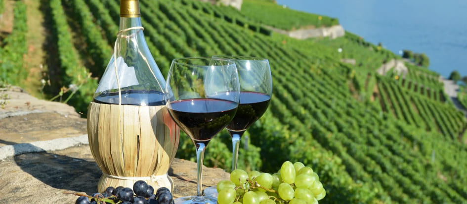 The Rising Elegance of Tunisian Wines: A Hidden Gem of the Mediterranean