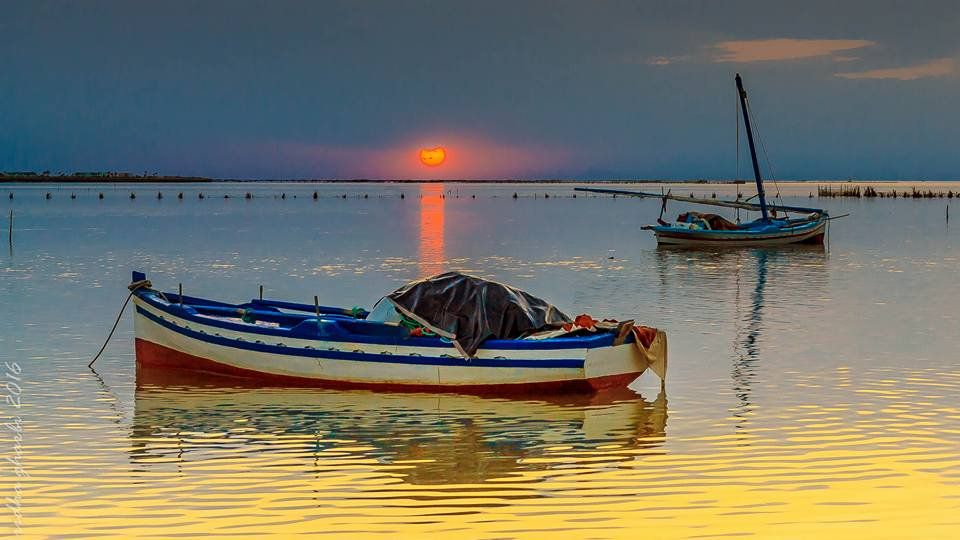 A Day in Kerkennah Islands: Peace, Fishing, and History
