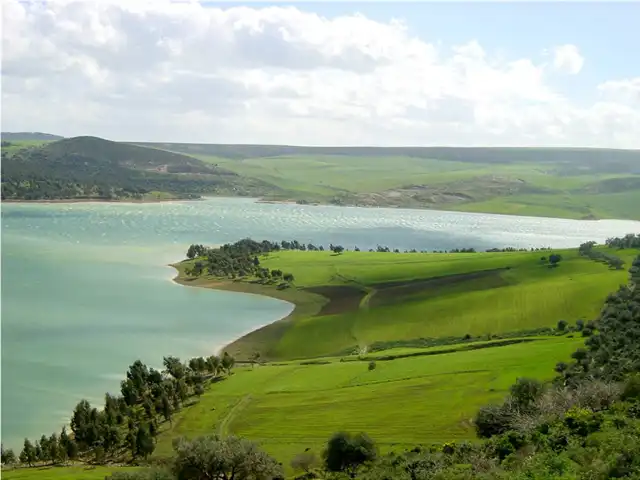 Discover the Beauty of Ichkeul National Park