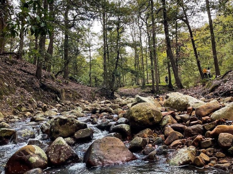 Nature Reserves in Tunisia Worth Exploring