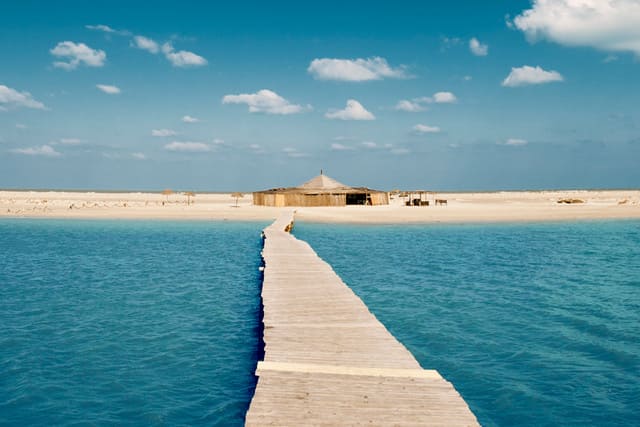 Discover Tunisia's Hidden Gems: Unique Tourist Spots in Hammamet and Djerba