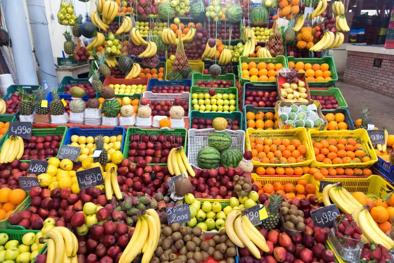 Tunisia’s Bounty: A Journey Through Its Fruits and Vegetables